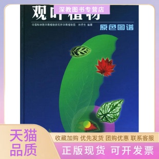 【正版书包邮】观叶植物原色图谱精林侨生中国农业出版社