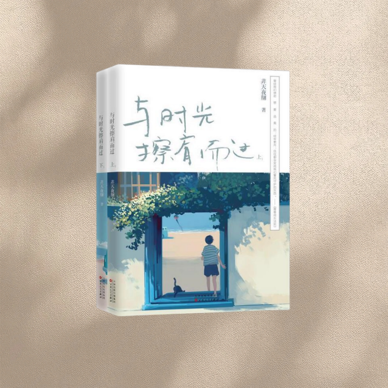 与时光擦肩而过全两册
