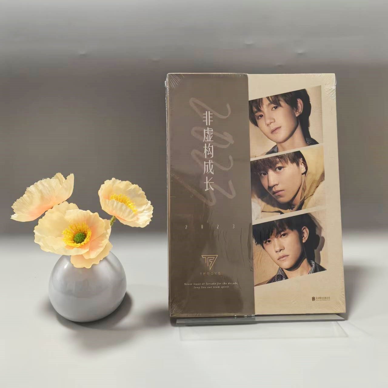 正版现货非虚构成长TFBOYS组合