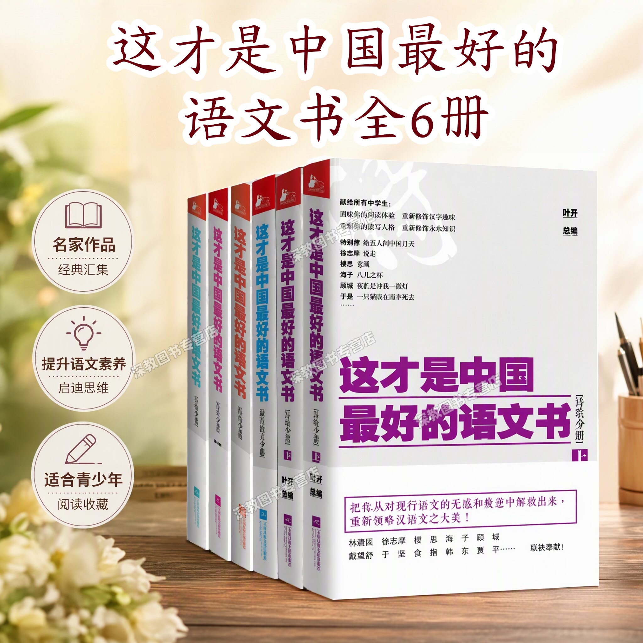 【这才是中国最好的语文书套装6册】正版综合分册+诗歌分册+散文分册+小说分册+现代散文分册 叶开 江苏文艺出版社 9787539966762