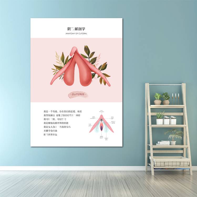 多款私密艺术抽象挂画 妇产科医院产康装饰画泌尿科月子馆墙壁画