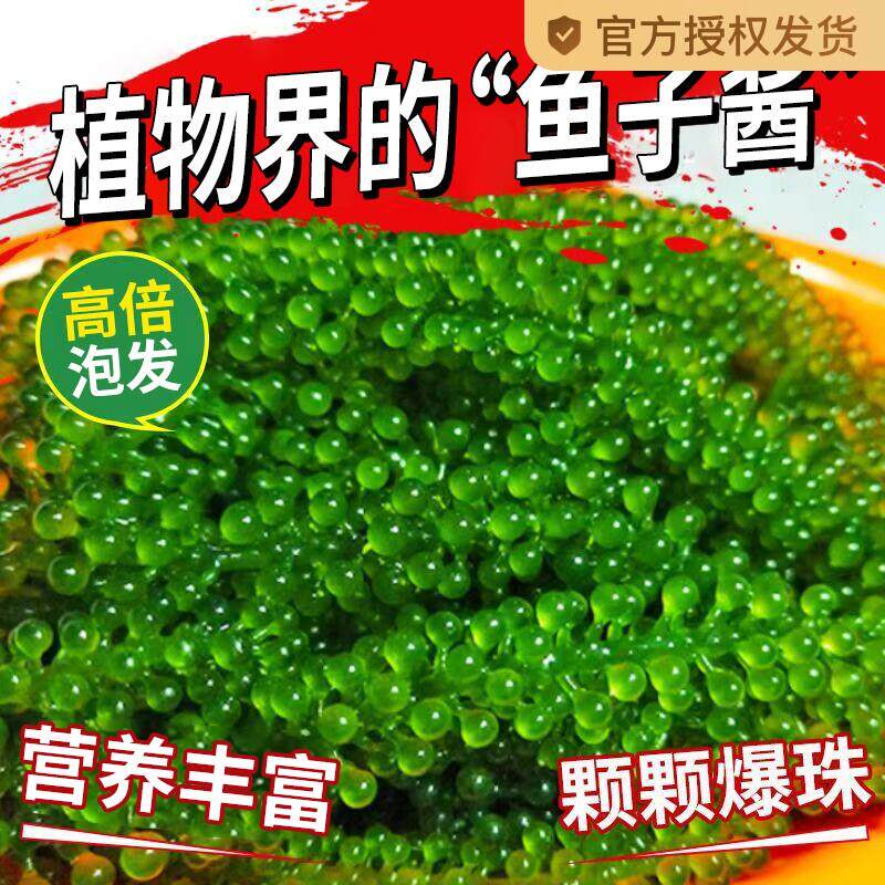热销海葡萄即食盐渍海带海洋蔬菜绿色鱼子酱海藻凉拌菜寿司涮火锅