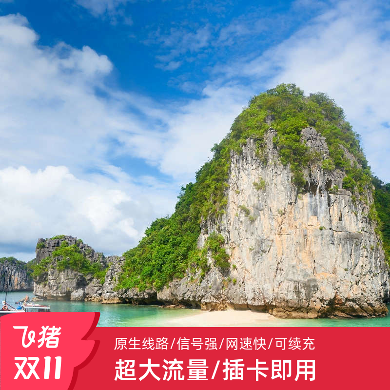 越南Viettel电话卡