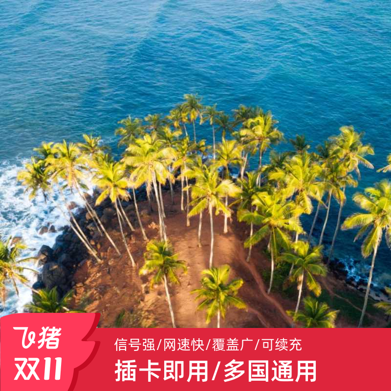顺丰包邮~全球多国通用 亚欧非多国通用 插卡即用