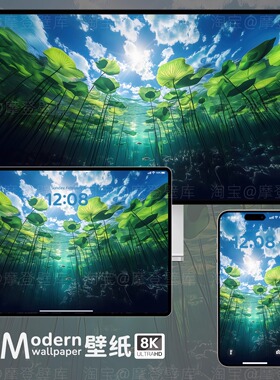 绿色荷塘8K高清壁纸手机ipad平板电脑mac桌面治愈系创意风景插画