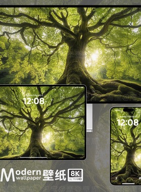 绿色森林护眼风景8K高清壁纸手机电脑ipad平板mac桌面氛围感插画