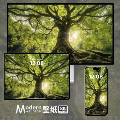 绿色森林护眼风景8K高清壁纸手机电脑ipad平板mac桌面氛围感插画