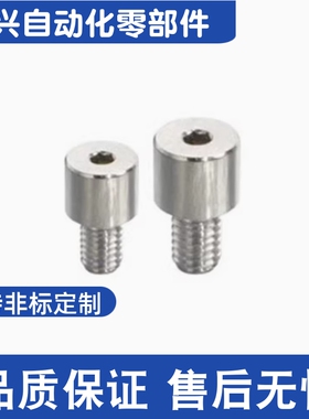 JPLR JPLRM JPLRK JPLRS-M3 M4 M5 M6 M8 M10记号销内六角孔型