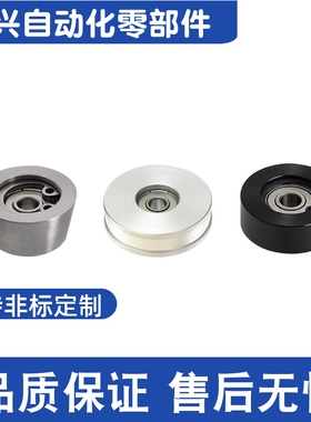 FTMRA30 40 50 60 100  导向滚轮 平型 双法兰型 锥型