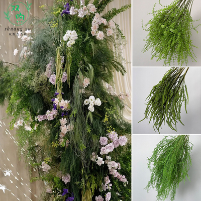 仿真龙须草绿植芦荀草森系布置