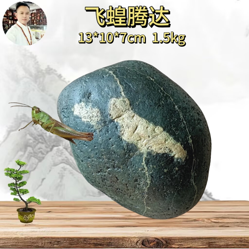 办公居家摆件长江天然水冲原石金纹石伊河石动物画面奇石飞蝗腾达