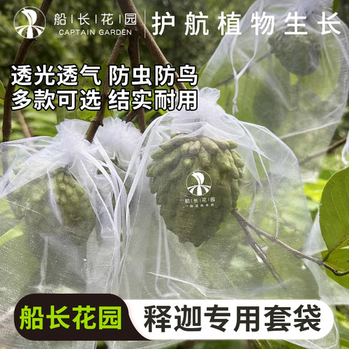 释迦果套袋专用袋佛头果防虫防鸟
