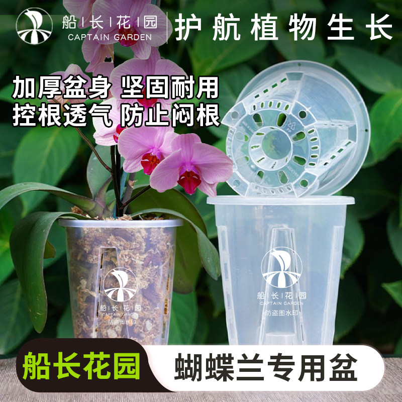 蝴蝶兰专用透明控根盆兰花石斛水苔透气轻奢镂空花卉通用塑料花盆