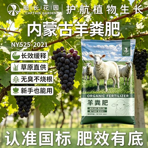 葡萄专用肥内蒙古发酵羊粪有机肥