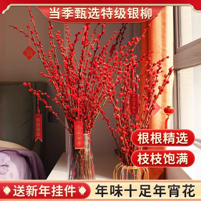 银柳枝条真花柳条红色鲜枝插花植物花卉干枝盆栽干花红柳客厅摆件,鲜花速递/花卉仿真/绿植园艺,时令草本花卉,淘宝优惠券,粉丝福利购,淘宝优惠卷