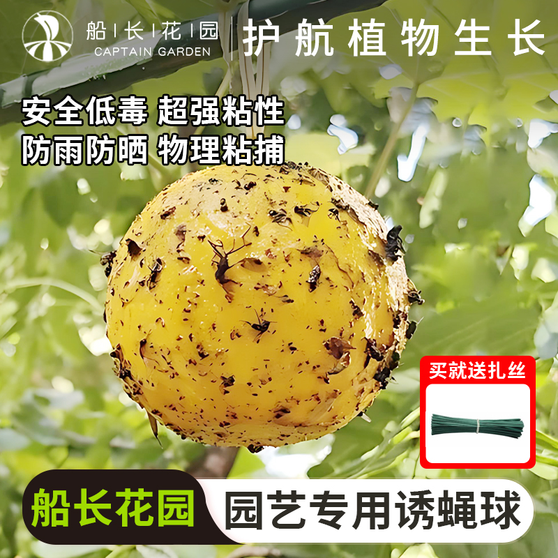 诱蝇球菜园室内花卉用果蝇诱捕器