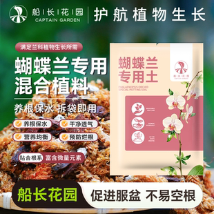 蝴蝶兰专用土盆栽松鳞树皮毛毛虫水苔混合植料青苔颗粒石斛兰花土