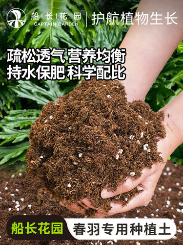 春羽专用土营养土热植盆栽天南星科土壤竹芋龙鳞龟背竹种植花土