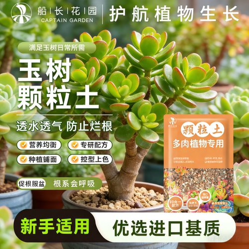 玉树专用颗粒土多肉吊兰盆栽