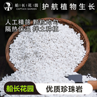 珍珠岩除尘大颗粒养花通用营养土多肉兰种植育苗膨胀保温硬质植料