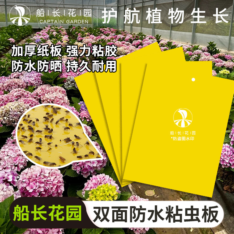 粘虫板双面菜地果树园小飞虫蓟马强力诱虫室内花卉盆栽防虫黄板