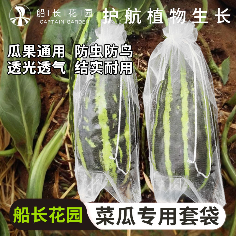 菜瓜专用套袋丝瓜黄瓜茄子蔬果防虫防鸟神器瓜果防虫袋尼龙网纱袋