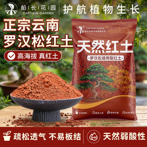 罗汉松种植红土云南高山红土喜酸植物适用土金桂花盆栽家用栽培CZ