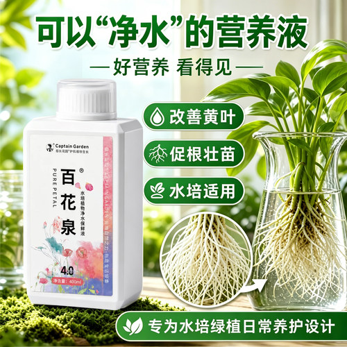 水培植物专用富贵竹保鲜剂营养液