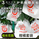 柑橘套袋橘子果袋丑橘橙子耙耙柑春见不知火芒果脐橙石榴水果套袋