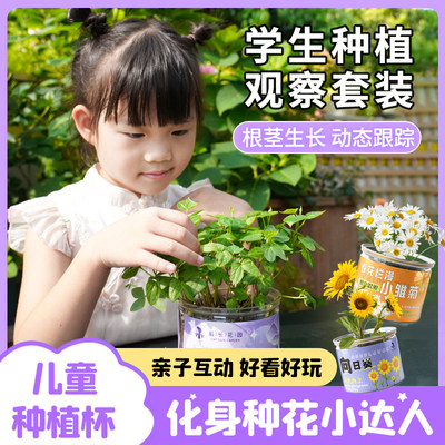 儿童种植小盆栽桌面迷你植物盲盒