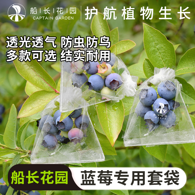 蓝莓套袋防虫鸟透气蔬菜水果网袋