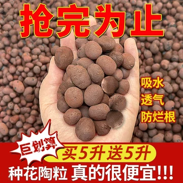陶粒垫底养花专用盆栽透气陶土粒