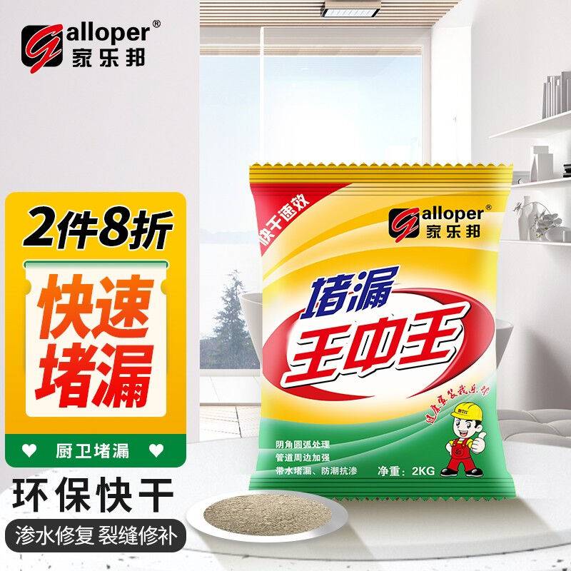 家乐邦（Galloper）堵漏王卫生间管道防水涂料补漏屋顶堵漏速干水