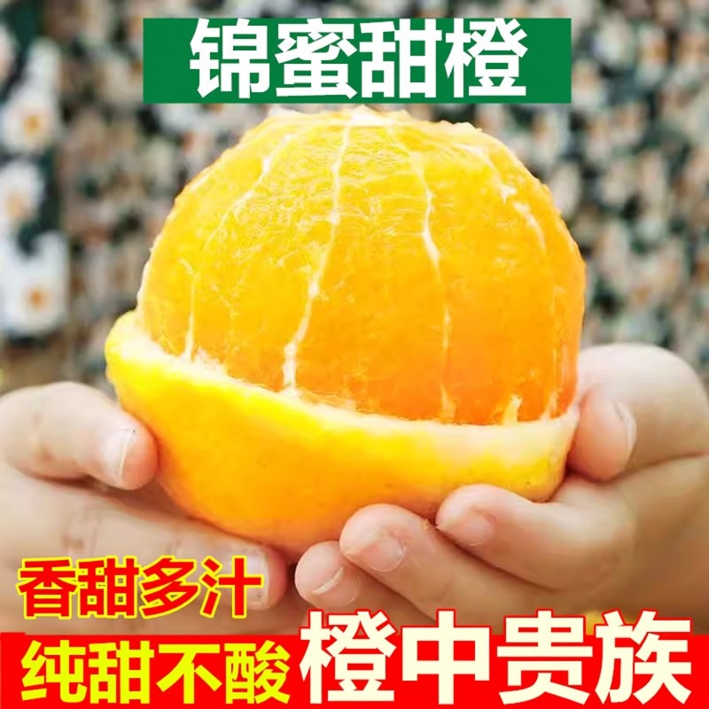 正宗湖南麻阳锦蜜冰糖橙10斤现摘橙子新鲜水果薄皮多汁锦密甜橙,水产肉类/新鲜蔬果/熟食,橙,淘宝优惠券,粉丝福利购,淘宝优惠卷