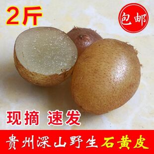 野生石黄皮新鲜肾蕨果化狗儿凤凰蛋石枇杷马骝卵中药材煲炖汤食材