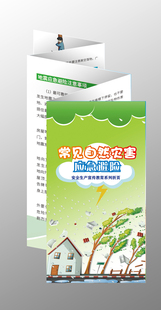 袋2023年防灾减灾日 常见自然灾害应急避险折页50份