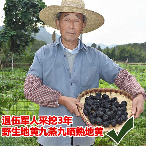 野生熟地黄中药材正品500G