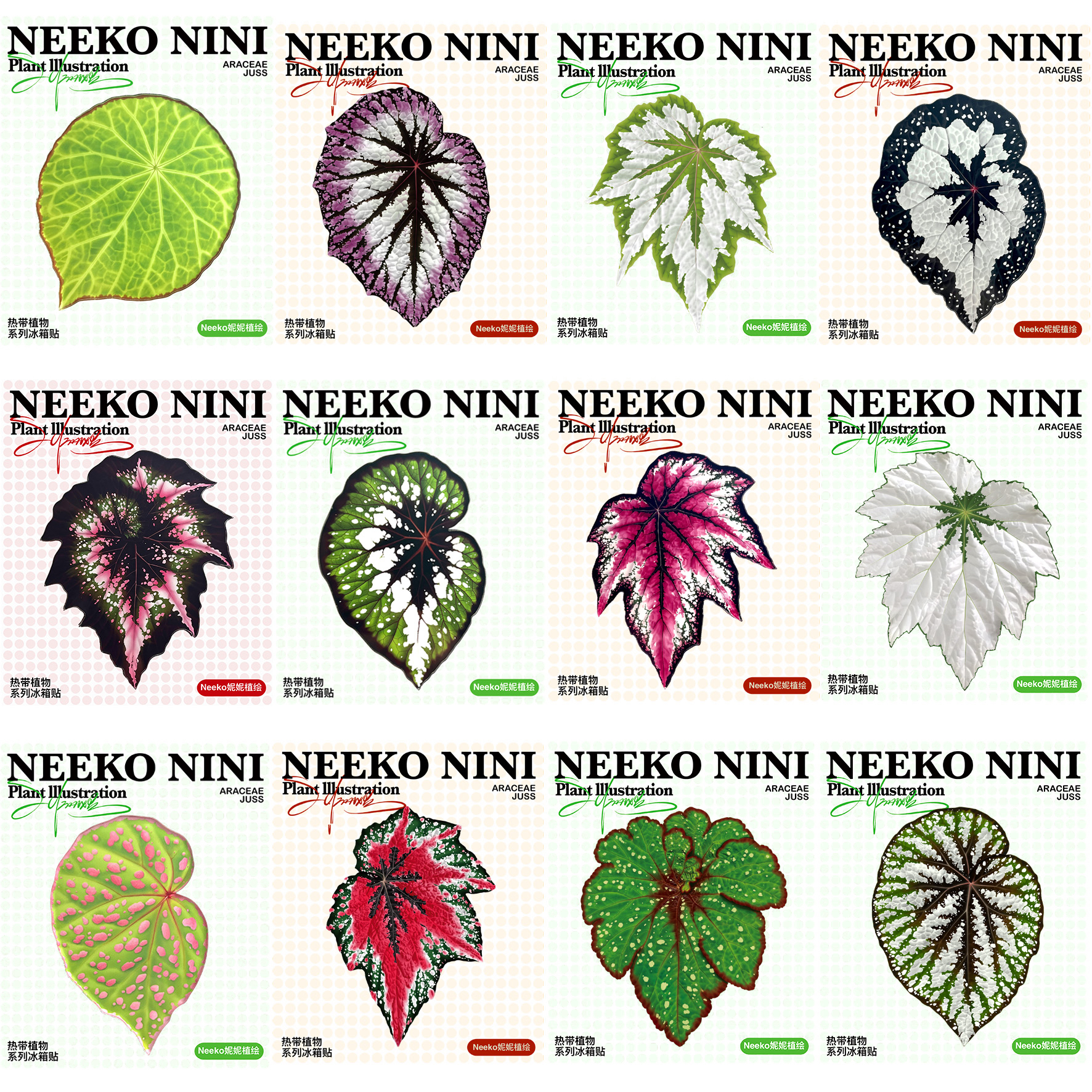 Neeko妮妮 热带植物系列秋海棠冰箱贴 磁吸