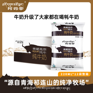 12袋装 阿妈家青藏高原牦牛奶青海祁连山耗牛全脂纯牛奶220ml 整箱
