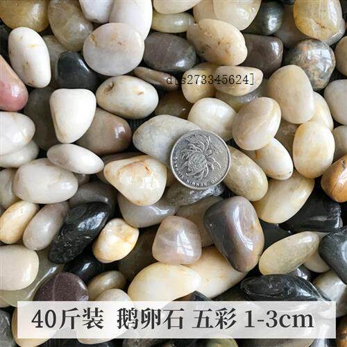 新雨花石足底庭院花园按摩彩色装饰鹅卵石园艺暖石小石子足垫铺i.