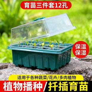多肉叶插育苗盆三件套培养播种盒保湿温育苗盘12孔塑料育苗盒盖