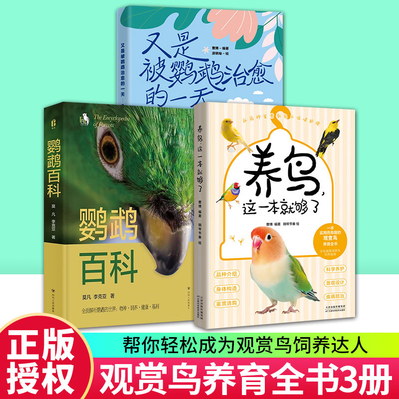 又是被鹦鹉治愈的一天养鸟这一本图片