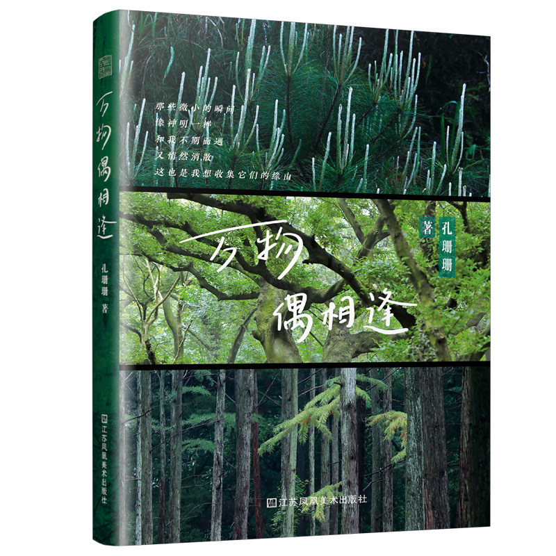 【官方正版】万物偶相逢 自然万物并非远在他方 也许就在一旁沉默低语等待与我们的每一次相逢和对望 散文 摄影 自然花草 故乡城镇
