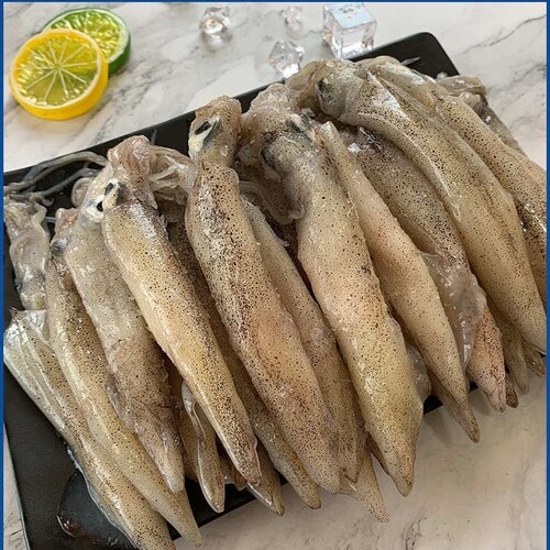 新鲜海兔笔管鱼子乌涮火锅 炒菜佳品新鲜速冻