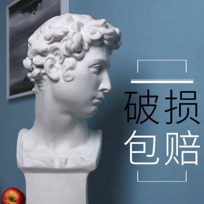 小卫美第奇石膏像人物人头像美术素描教具雕塑摆件装饰雕塑摆件