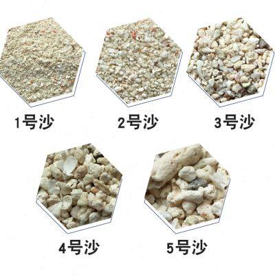蓝色珍品珊瑚沙鱼缸造景细沙培菌珊瑚骨海沙菲律宾白沙天然装饰沙