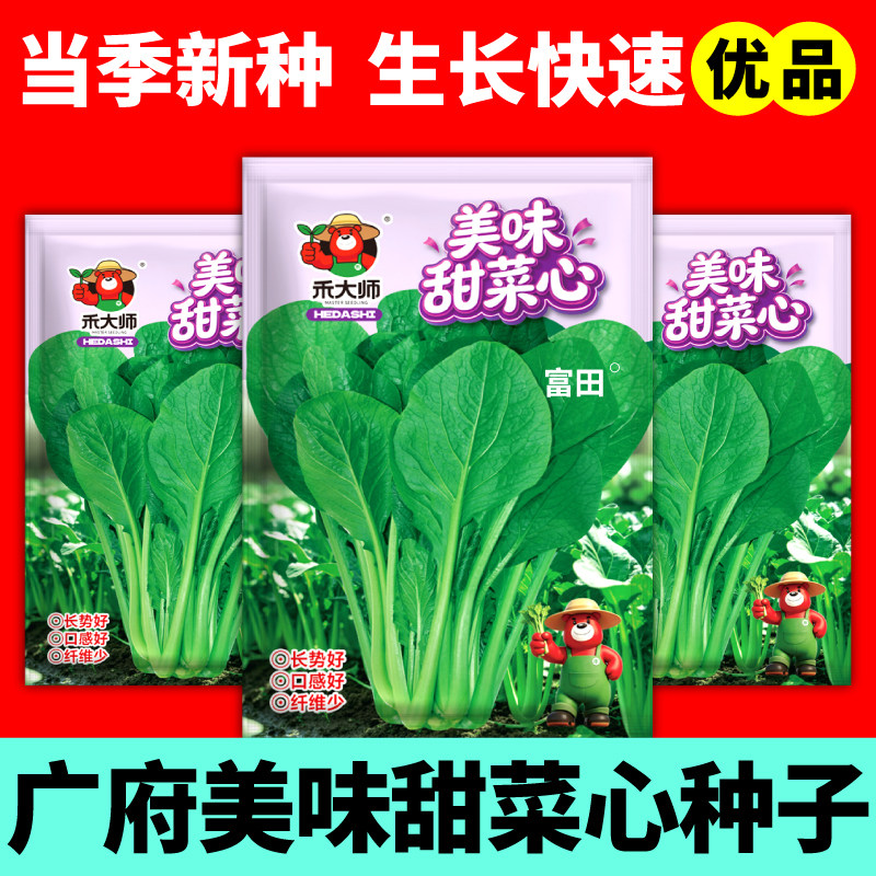 美味甜菜心种子当季新种速生广府菜心种籽味甜无渣盆栽庭院种植