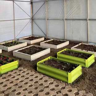 金属果蔬培育箱阳菜园重种菜养家庭台无底AXB种植盆不花生锈复用