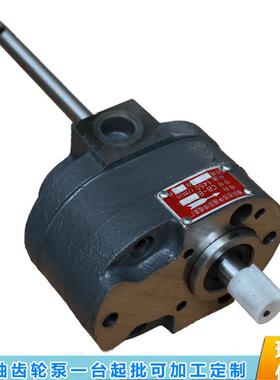 非标定制XCB-B2.5SXCB-B4SXCB-6SXCB-B10双出轴低压齿轮泵油泵