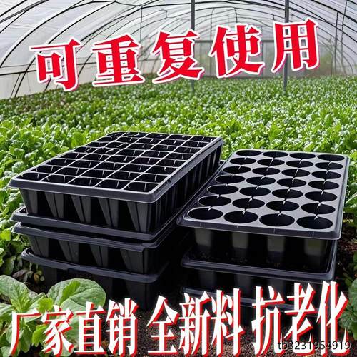 育苗穴盘家庭种植神器套